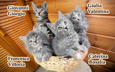 Giovanni, Caterina, Giulia ja Francesca (pennut)