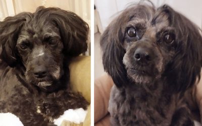 Pulla ja Titsu, erikseen