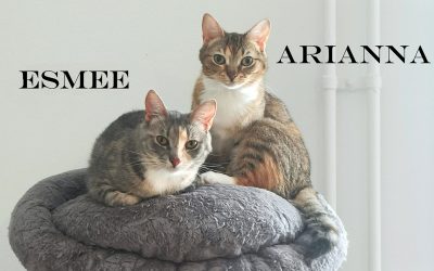 Esmee & Arianna